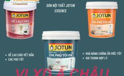 Sơn nội thất chống ẩm mốc