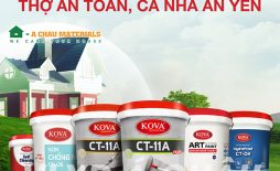 Sơn Kova chính hãng